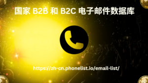 国家 B2B 和 B2C 电子邮件数据库