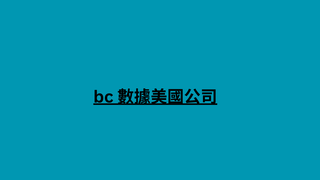 bc 數據美國公司