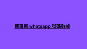 俄羅斯 whatsapp 號碼數據