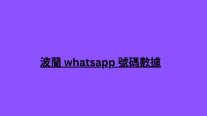 波蘭 whatsapp 號碼數據